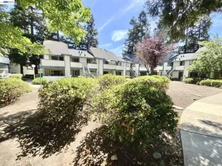 Photo #2: 41135133 Listing 