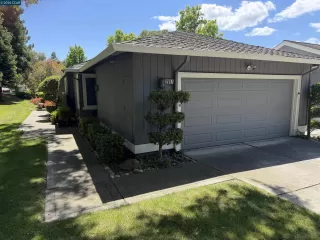 Photo #1: 41135139 Listing 