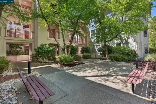 Photo #1: 41135188 Listing