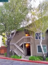 Primary Photo for MLS#: 41135197