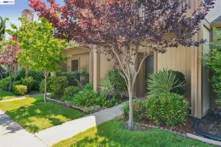 Photo #3: 41135202 Listing