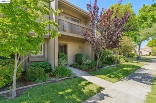 Photo #4: 41135202 Listing