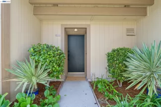 Photo #5: 41135202 Listing