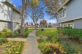 Photo #1: 41135348 Listing 