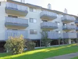 Primary Photo for MLS#: 41135350