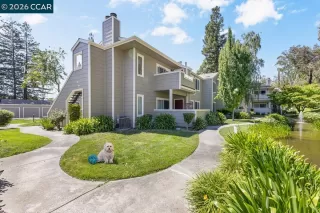Primary Photo for MLS#: 41135474