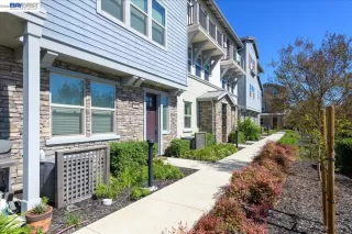 Photo #1: 41135556 Listing