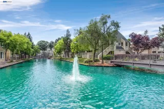 Photo #6: 41135643 Listing 