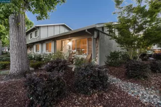 Photo #1: 41135783 Listing