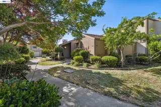 Photo #1: 41135837 Listing 