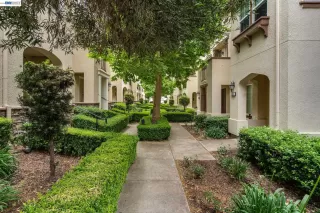 Photo #1: 41135914 Listing 
