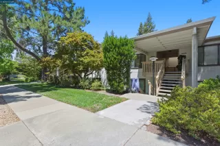 Primary Photo for MLS#: 41135944