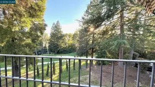 Photo #1: 41135995 Listing 