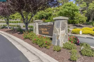 Photo #5: 41135995 Listing 