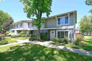 Photo #1: 41136009 Listing 