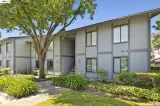 Primary Photo for MLS#: 41136086
