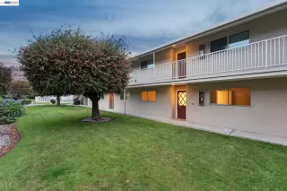 Photo #2: 41136136 Listing 