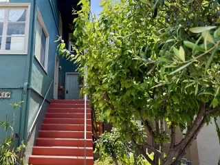 Photo #1: 41136169 Listing 