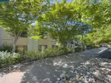 Primary Photo for MLS#: 41136317