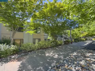 Primary Photo for MLS#: 41136317