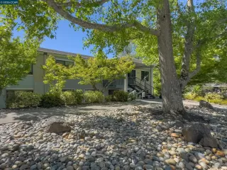 Photo #1: 41136317 Listing 