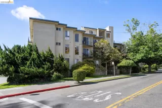 Primary Photo for MLS#: 41136337