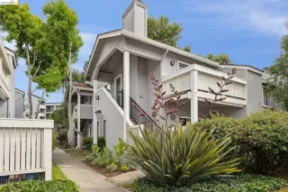 Photo #1: 41136342 Listing
