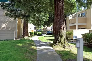 Photo #2: 41136405 Listing 