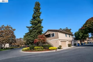 Primary Photo for MLS#: 41136427