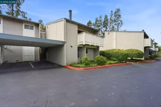 Photo #1: 41136491 Listing