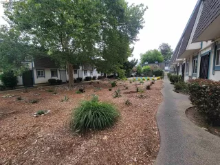 Photo #3: 41136590 Listing