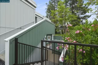 Photo #1: 41136633 Listing 