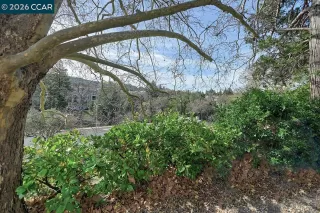 Photo #4: 41136812 Listing