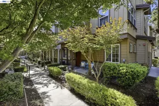 Photo #1: 41136867 Listing