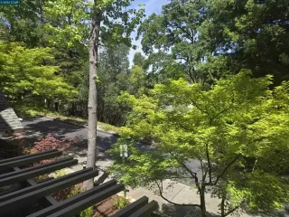Photo #1: 41136945 Listing 
