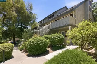 Photo #1: 41137185 Listing 