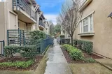 Primary Photo for MLS#: 41137193
