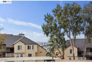 Photo #1: 41137243 Listing 