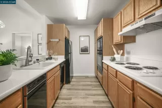 Photo #5: 41137458 Listing 