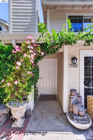 Photo #4: 41137511 Listing