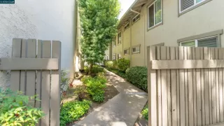 Photo #1: 41137649 Listing 