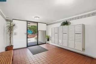 Photo #1: 41137726 Listing 