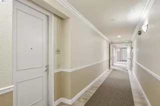 Photo #1: 41137837 Listing