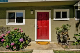 Photo #1: 41137870 Listing 