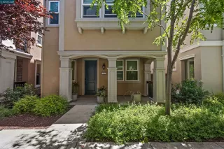 Primary Photo for MLS#: 41137918
