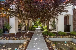 Photo #1: 41137918 Listing