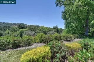 Photo #6: 41137972 Listing