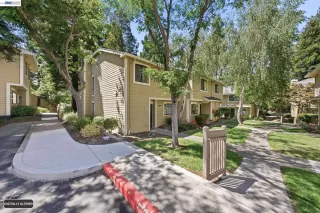 Photo #1: 41138096 Listing
