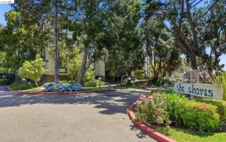 Photo #1: 41138108 Listing