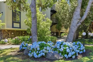 Photo #2: 41138108 Listing